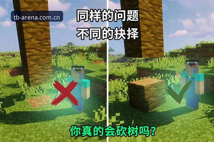 揭秘天博篮球数据：从菜鸟到老手的实战经验分享